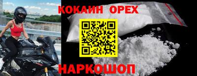 кокс Кингисепп