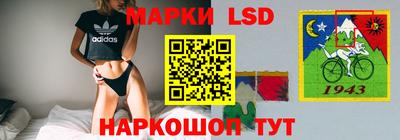 кокс Кингисепп