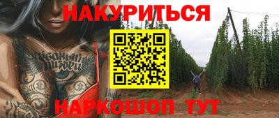 кокс Кингисепп