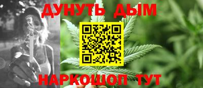 кокс Кингисепп