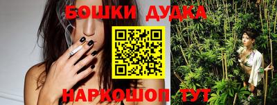кокс Кингисепп