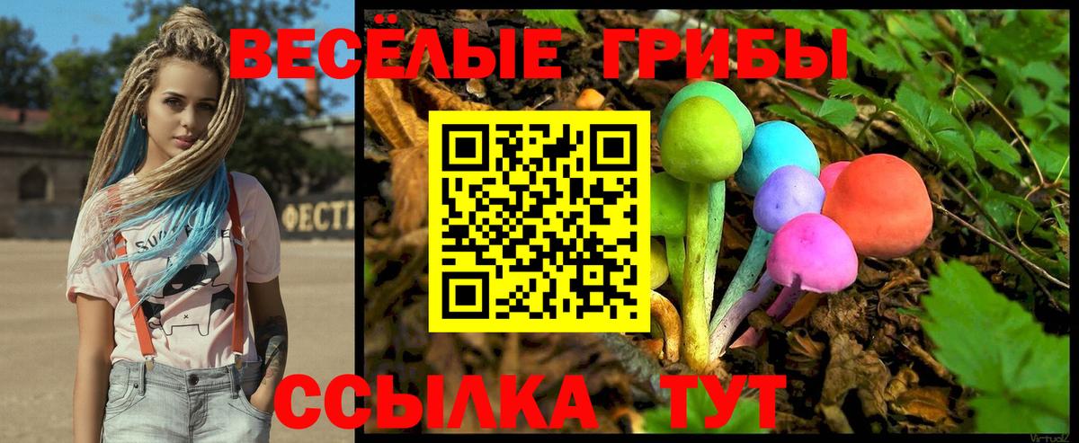 Галлюциногенные грибы Magic Shrooms Георгиевск