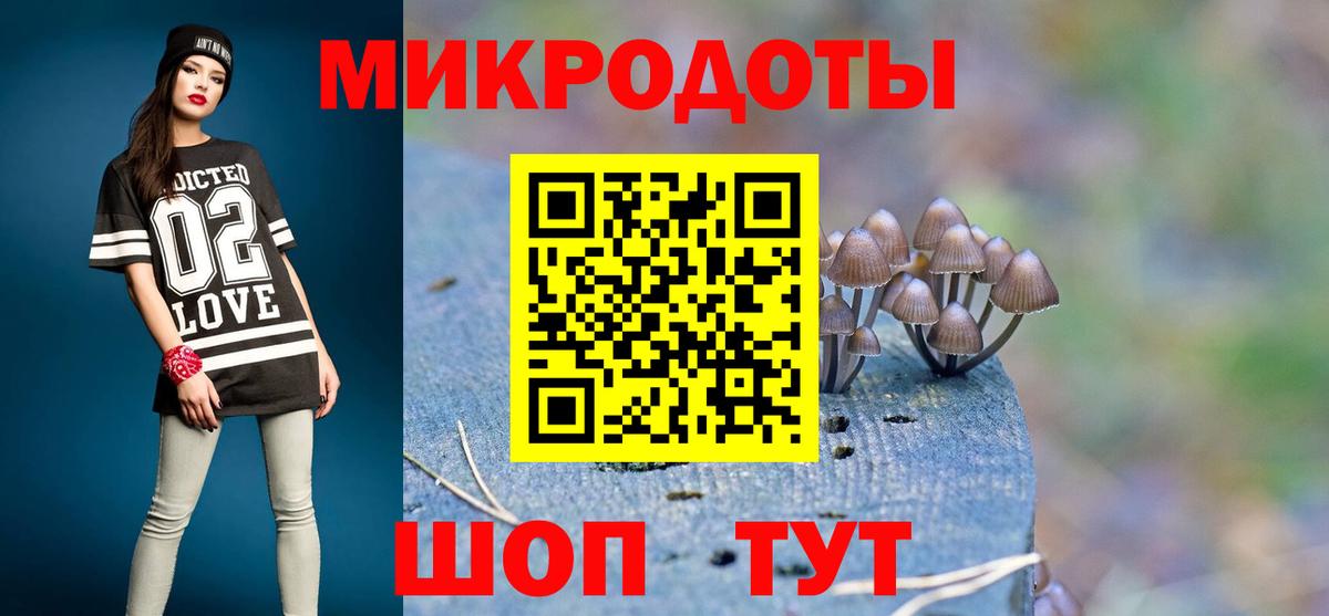 Галлюциногенные грибы Psilocybe  Вход с VPN  Георгиевск 